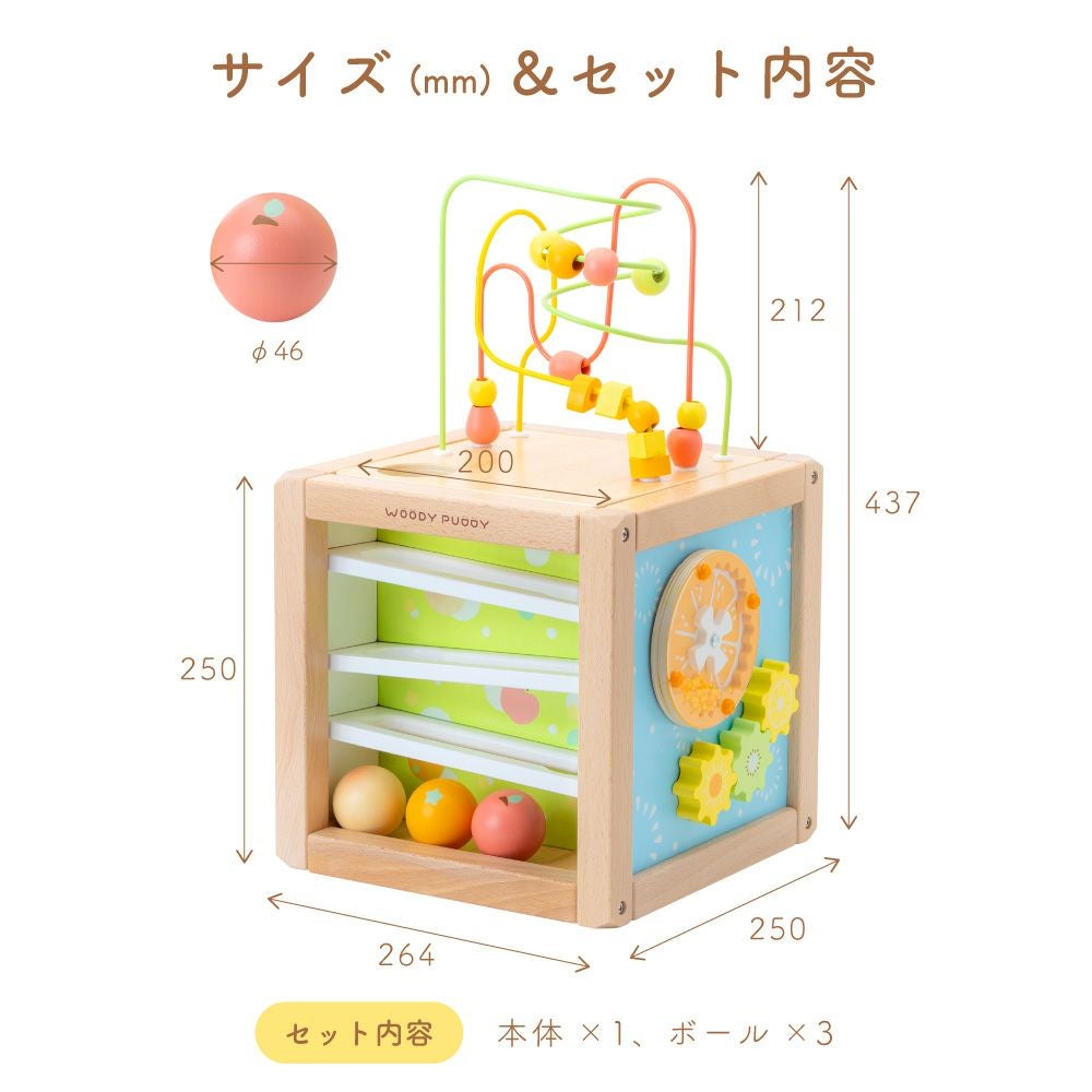 新品　WOODYPUDDY あそびたっぷり フルーツアクティビティボックス 000000003047-13.jpg?size=org&t